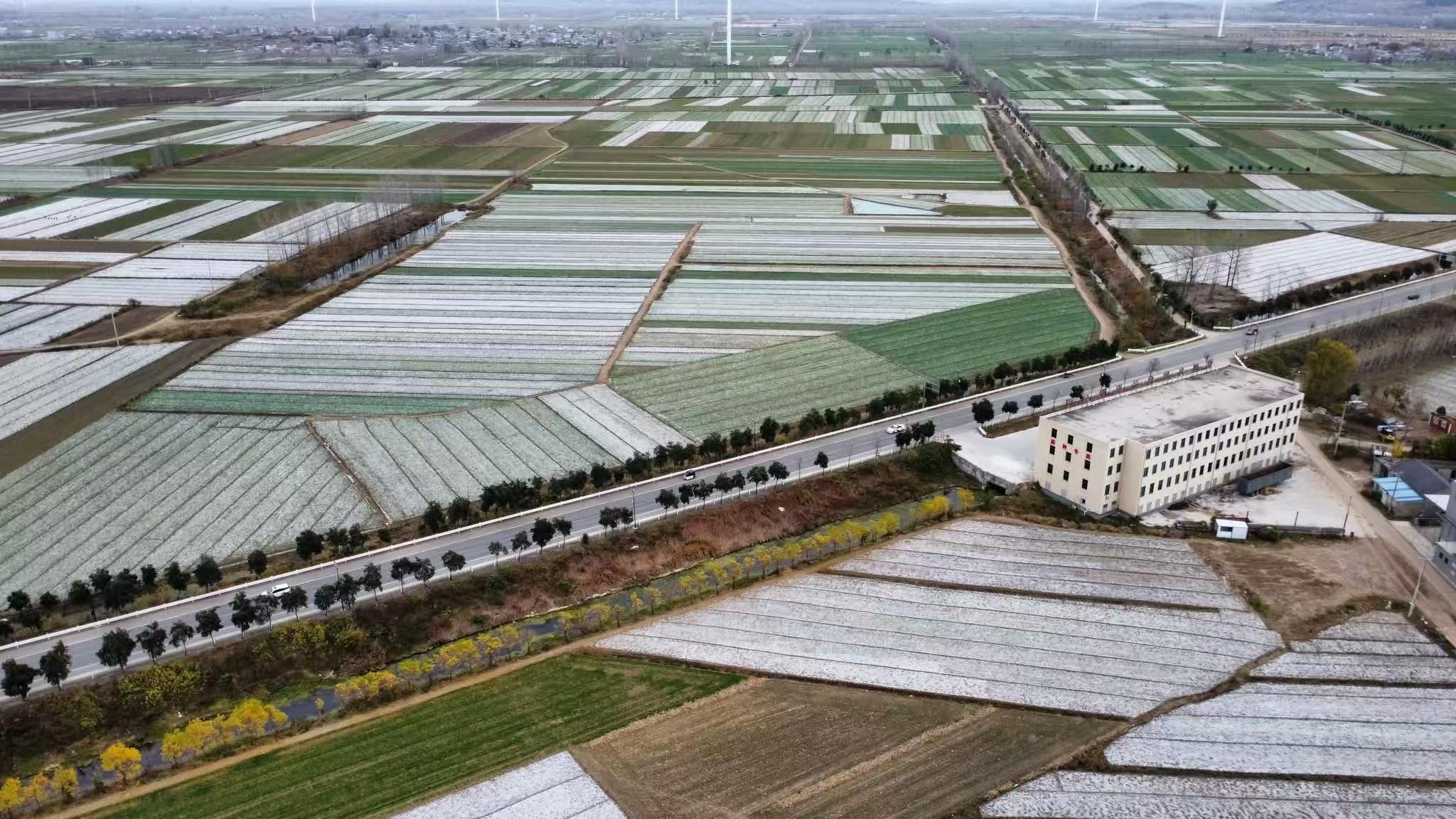 微信图片_20251229133748_53_161